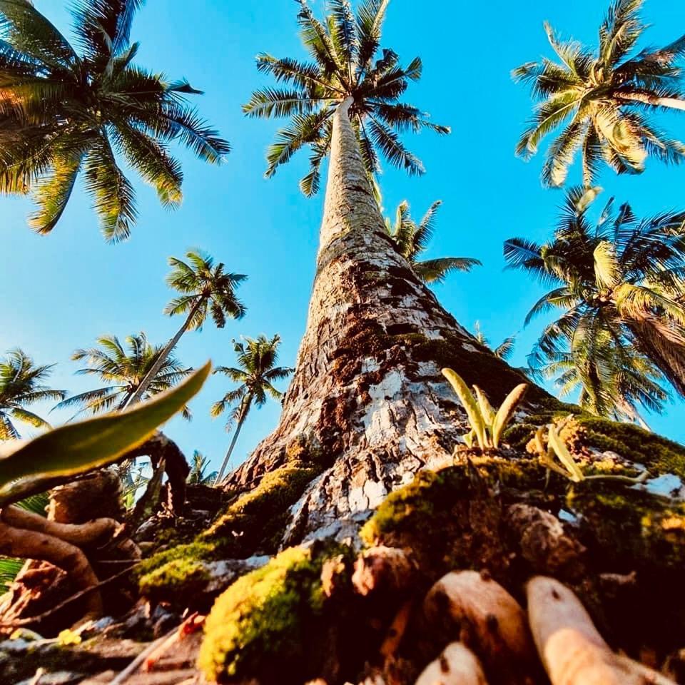Suan Maprao Ko Kut Resort Eksteriør bilde