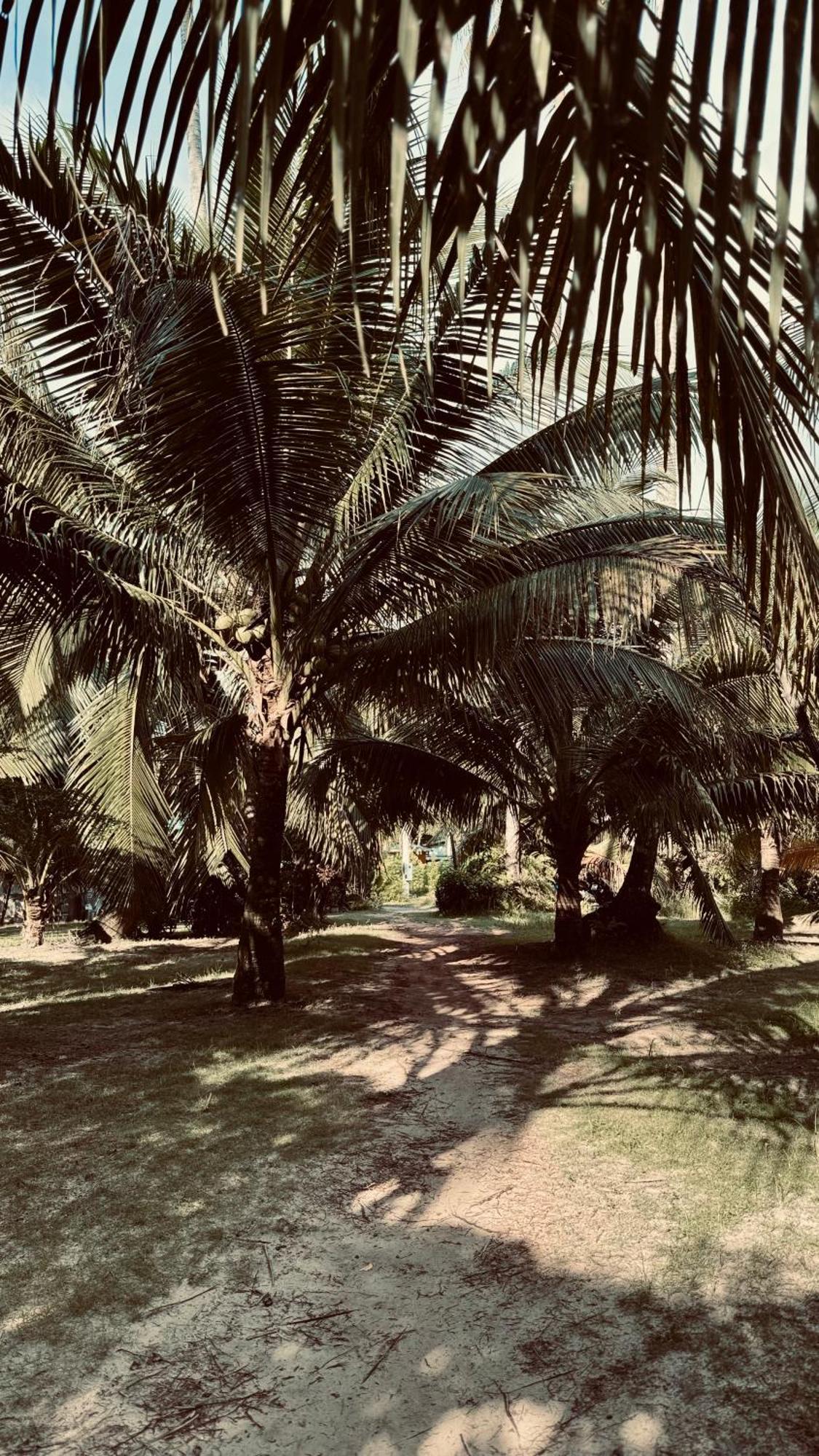 Suan Maprao Ko Kut Resort Eksteriør bilde