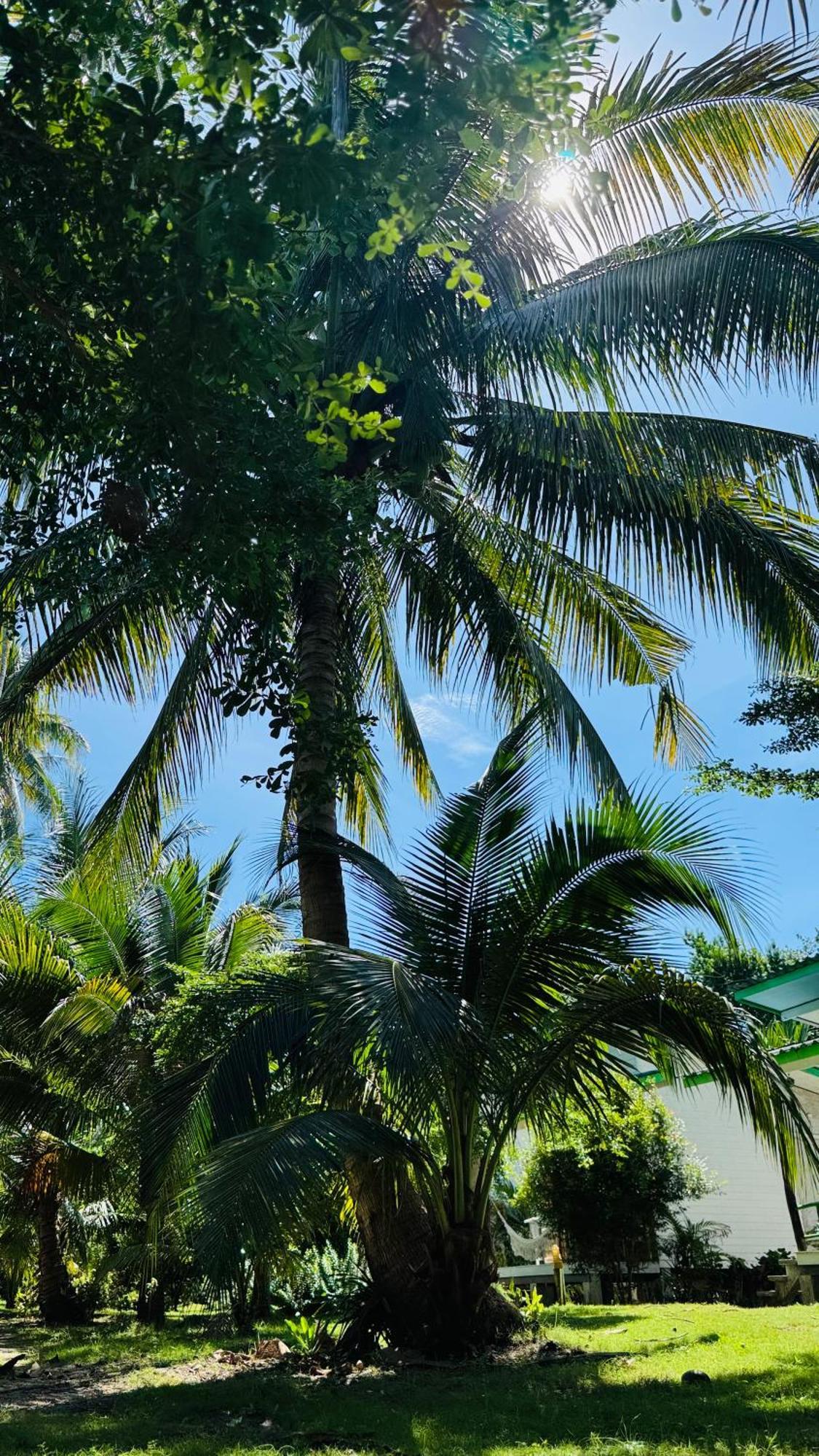 Suan Maprao Ko Kut Resort Eksteriør bilde
